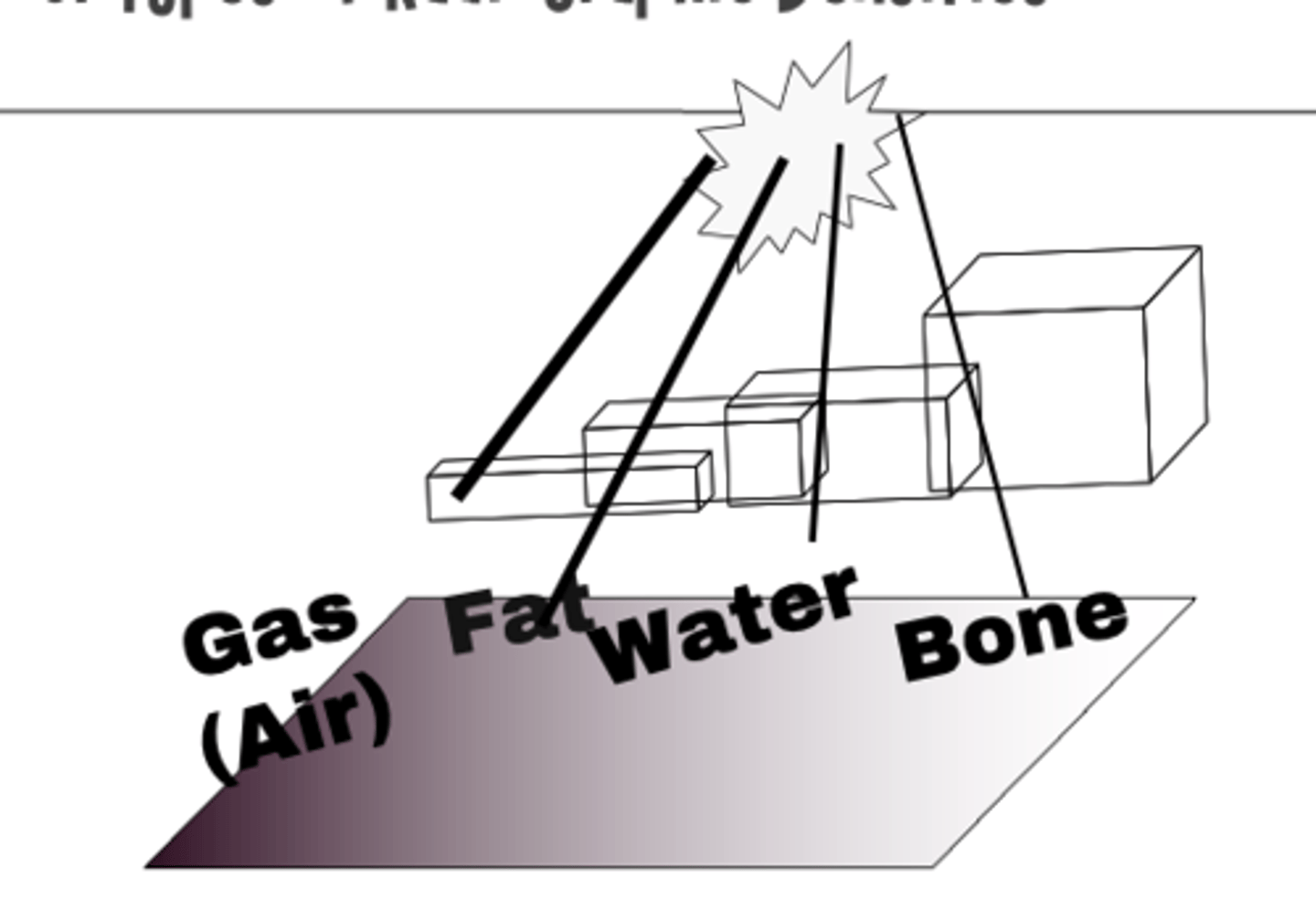 <p><strong>(least)</strong> gas → fat → water → bone <strong>(most)</strong></p>