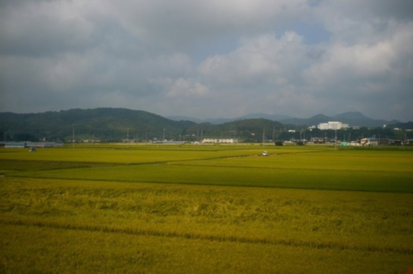 <p>quê,nông thôn</p>