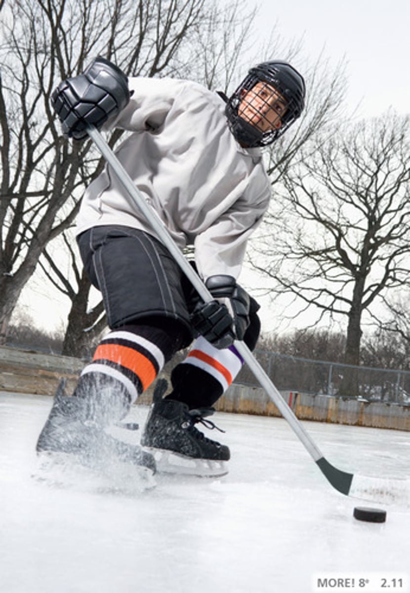 <p>ice hockey</p>