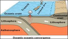 <p>Denser ocean floor (i.e., older) subducts under less dense (i.e., newer) ocean floor</p>