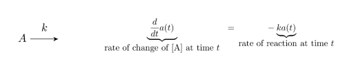 <p></p><p>This equation models…</p><ul><li><p>decay</p></li><li><p>production and decay</p></li><li><p>irreversible conversion</p></li><li><p>reversible conversion</p></li><li><p>enzymatic reaction</p></li><li><p>spatial reaction networks</p></li><li><p>stochastic system</p></li><li><p>predator-prey relationship (Lotka-Volterra)</p></li></ul><p></p>