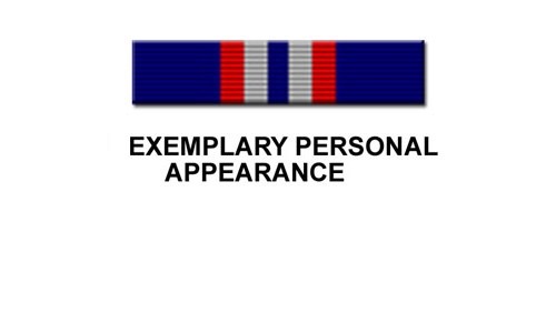<p>How does one earn the Exemplary Personal Appearance ribbon?</p>