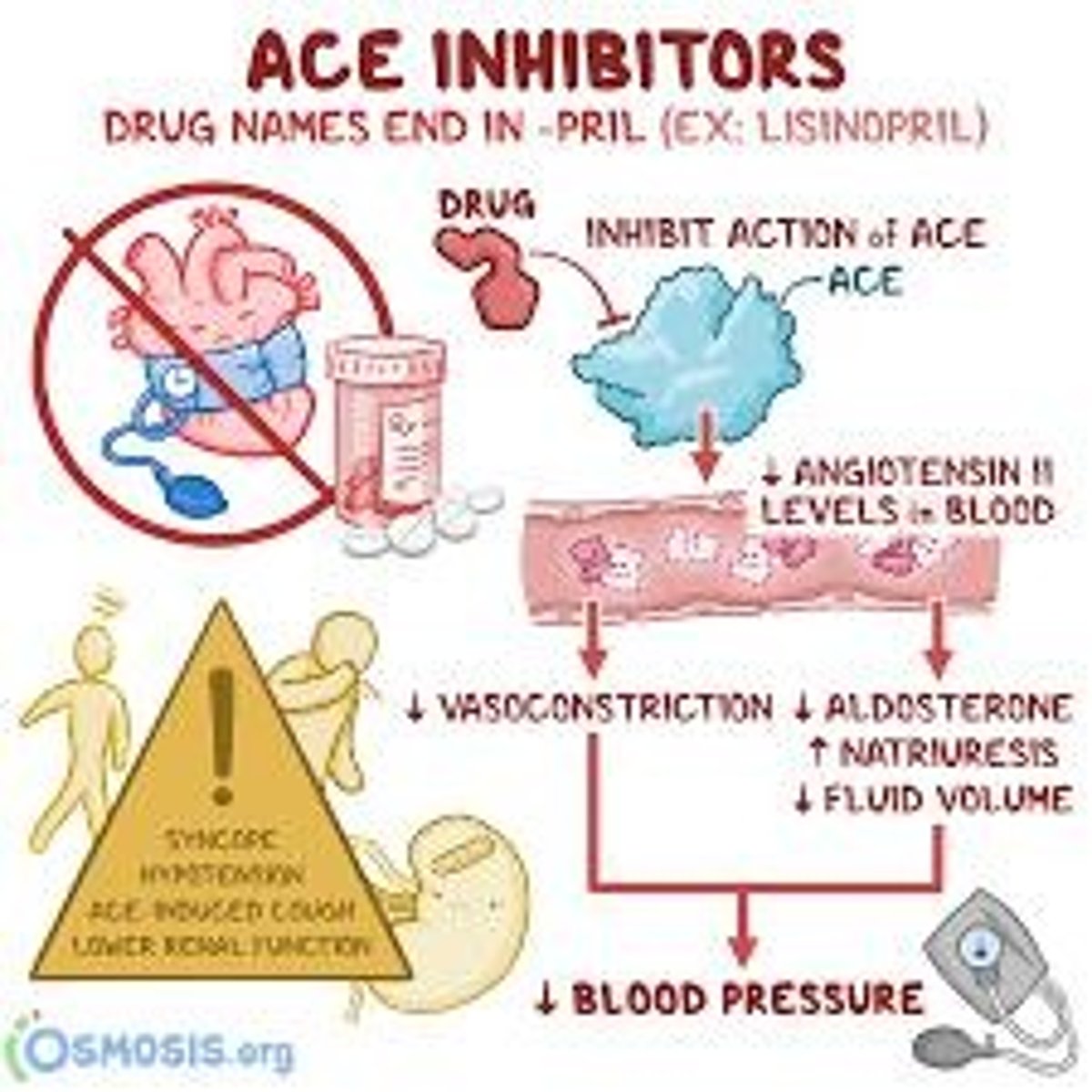 <p>End in -pril (ex. lisinopril)</p><p>MOA</p><p>- inhibit ACE to block conversion of angiotensin I to angiotensin II</p><p>- decreases angiotensin II formation</p><p>- increase levels of bradykinin</p><p>Vasodilation -&gt; decreased SVR -&gt; decreased BP</p><p>Decreased aldosterone decretion -&gt; decreased SV</p><p>- prevent of reverse pathologic changes in heart and blood vessels</p><p>- increase excretion of sodium and water</p><p>Therapeutic use:</p><p>- HTN, heart failure, MI</p><p>- LV dysfunction</p><p>- diabetic nephropathy</p><p>Avoid use/or use caution in:</p><p>- pregnant pts -&gt; fetal injury</p><p>- pts w/ history of angioedema -&gt; increased bradykinin</p><p>- pts w/ B/L renal artery stenosis -&gt; can cause acute renal failure</p><p>Adverse effects</p><p>- dry cough -&gt; d/t increased bradykinin</p><p>- angioedema -&gt; d/t increased bradykinin</p><p>- hyperkalemia -&gt; check levels 1 wk after starting</p><p>- AKI -&gt; check Cr levels 1 wk after starting</p><p>- teratogenic</p><p>- first dose hypotension</p>