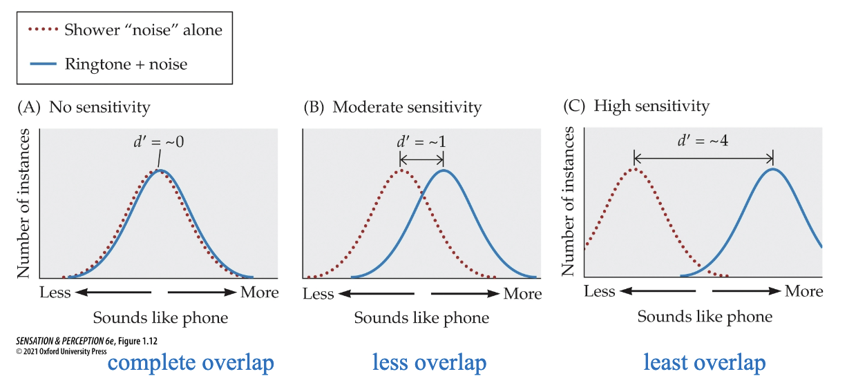 <p>ease with which perceiver can tell difference between presence and absence of a stimulus</p><ul><li><p>insensitive = hit rate and false alarm rate are equal</p></li><li><p>manipulated by changing intensity of the stimuli - ex. lightening/darkening the colour</p></li><li><p>depend on overlap of signal absent and signal present distributions</p><ul><li><p>distance between means of N and S+N distributions (doesn’t change with changes in criterion</p></li></ul></li></ul><p></p>