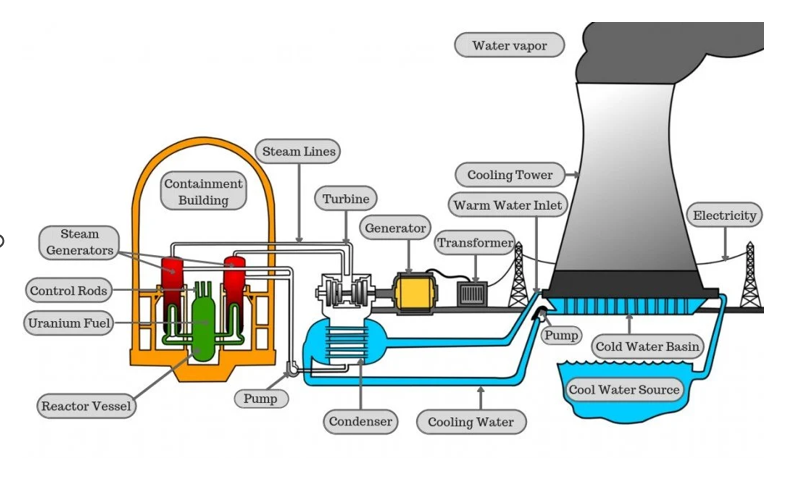 <ul><li><p>Uranium is used in nuclear reactors to produce heat, which generates electricity</p></li></ul><p></p>