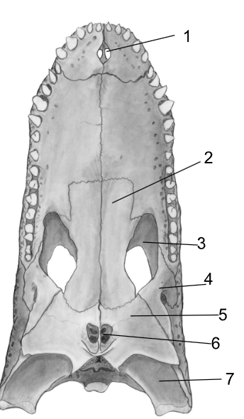 <p>5</p>