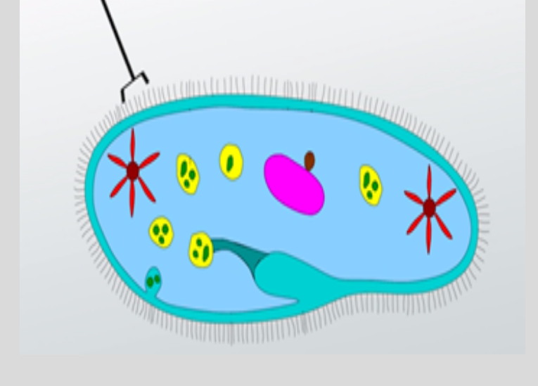 <p>What is this?</p>