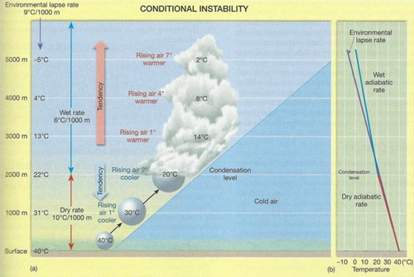 <p>occurs when the atmosphere is stable for an unsaturated parcel (dry adiabatic rate) of air but unstable for a saturated parcel (wet adiabatic rate)</p><p>1 multiple choice option</p>