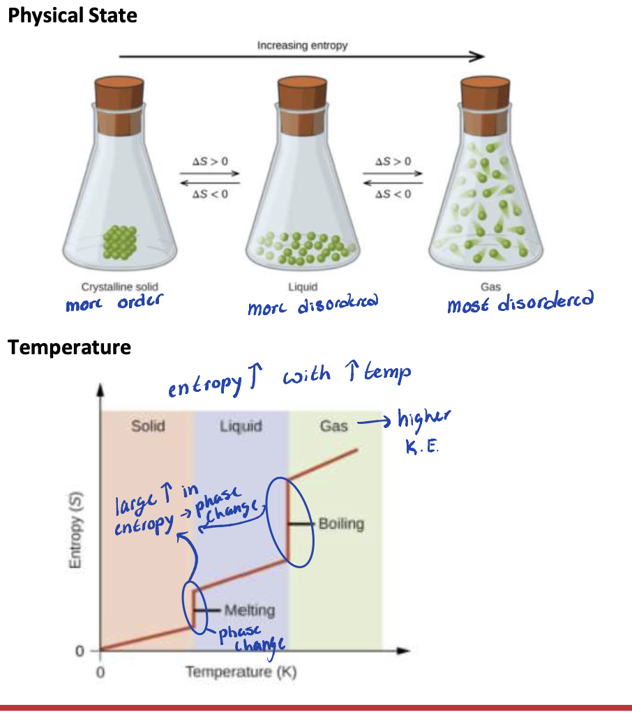 <p>Which factors can affect the entropy of the system:</p><ul><li><p>Physical state </p></li><li><p>Temperature</p></li><li><p>Number of particles in the sample </p></li><li><p>Complexity and size of molecules </p></li></ul><p></p>
