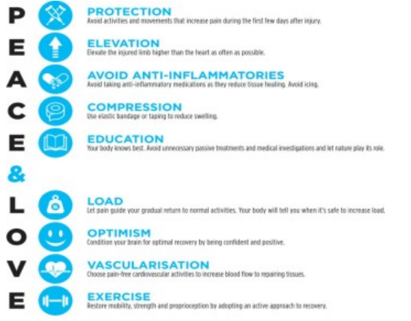 <p><span style="color: yellow;">INFLAMMATORY PHASE</span></p><ul><li><p>Initially:</p><ul><li><p>reduce impact of injury/ from site of injury (e.g. field)</p></li><li><p>immobilisation/support → crutches or brace</p></li><li><p>Protect injury site: fibrin network</p></li></ul></li><li><p>Avoid anti-inflammatories</p></li><li><p>Ultra sound disintegrates macrophages (non thermal)</p></li><li><p>Reduce swelling (Peace and Love)</p></li><li><p>No deep soft tissue work</p></li></ul><p></p><p></p><p><span style="color: yellow;">FIBROBLASTIC/ PROLIFERATION PHASE</span></p><ul><li><p>movement + tension to optimize strength + reorganisation of tissue</p><ul><li><p>motility exercises + stability &amp; strengthening programs</p></li><li><p>SSTM</p></li></ul></li></ul><p></p><p><span style="color: yellow;">REMODELING PHASE</span></p><ul><li><p>add load + ensure length for optimal function</p><ul><li><p>tension increased, strengthening programs increased, heating</p></li></ul></li></ul><p></p>