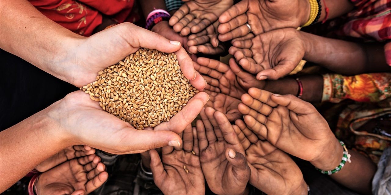 <p><em><span style="color: red">Mogridge v Thackwell</span></em><strong><em><span style="color: red"> </span></em></strong><span style="color: red">(1803)</span></p>