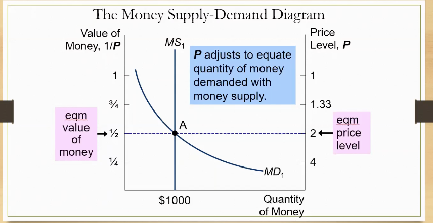 <p>It shows the…</p><p>equilibrium value of money</p><p>equilibrium price level</p><p>equilibrium quantity supplied </p><p></p>