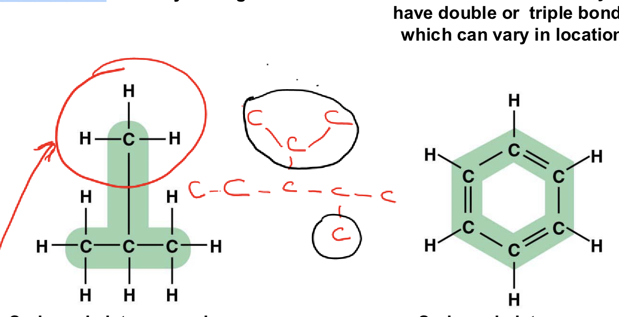 <p>The chain or ring of carbon atoms in an organic molecule</p>