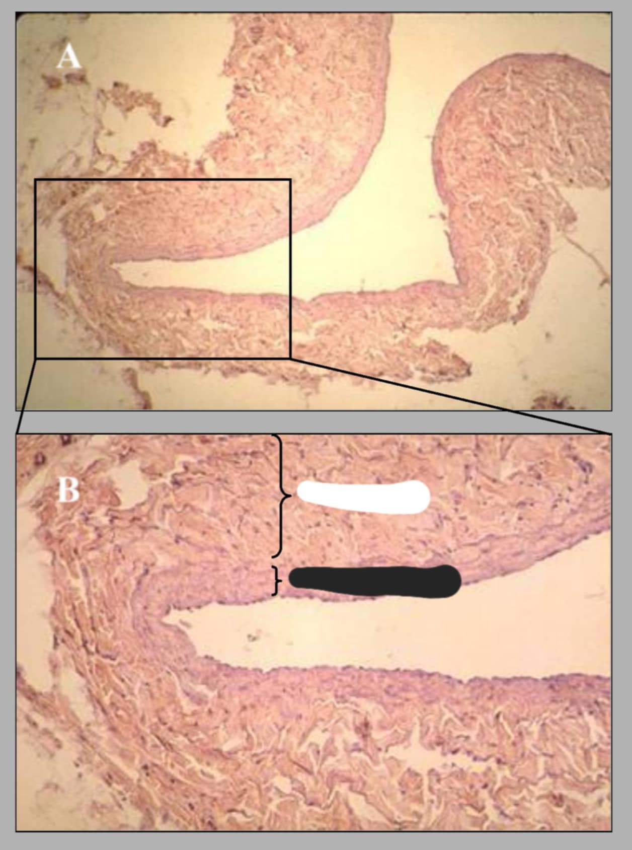 <p>name and parts of this slide.</p>