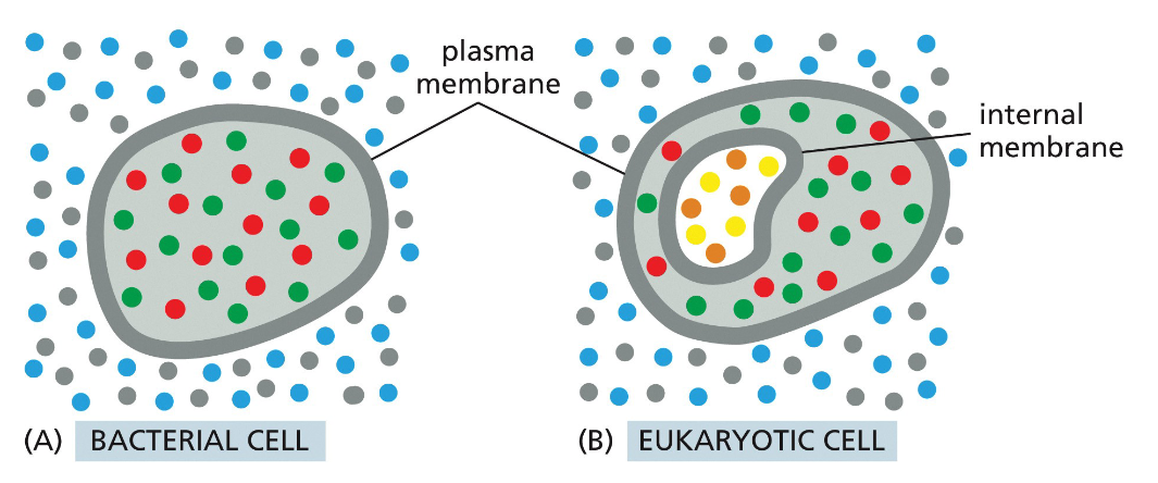 <p>Prevent molecules on one side from freely mixing with those on the other side.</p>