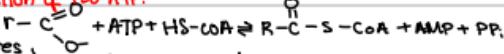 energy equivalent of 2 molecules of ATP
