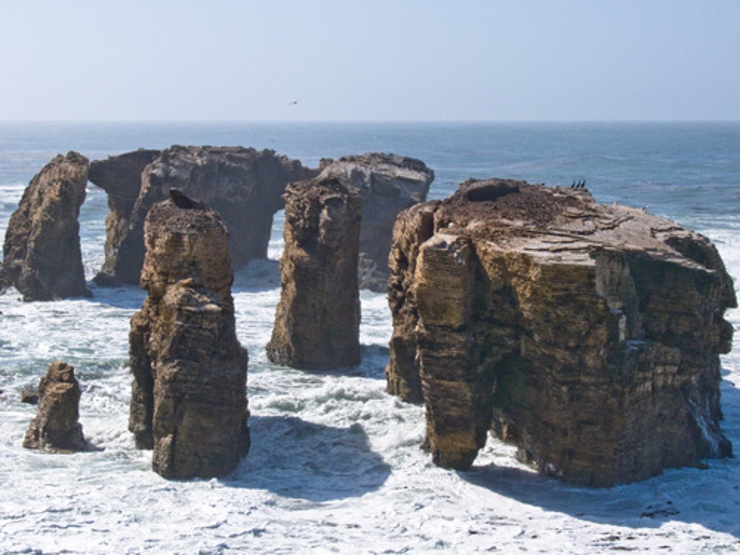 <p>Non-living thing</p><p>Ex: Waters, soils, minerals in the soil,O2</p>