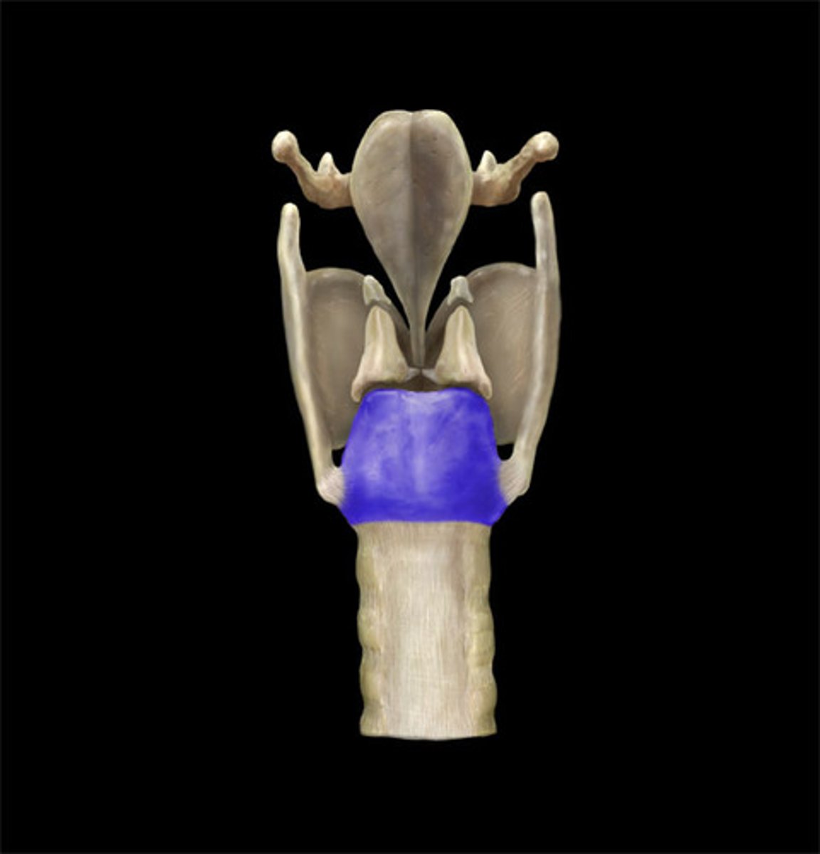 <p>Name the Structure</p>
