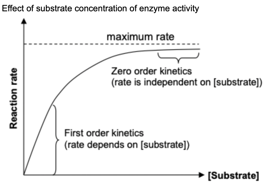 <p>Enzymes have specific active site that is complementary to reactant molecules in shape and charge</p>