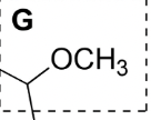 <p>Functional group</p>