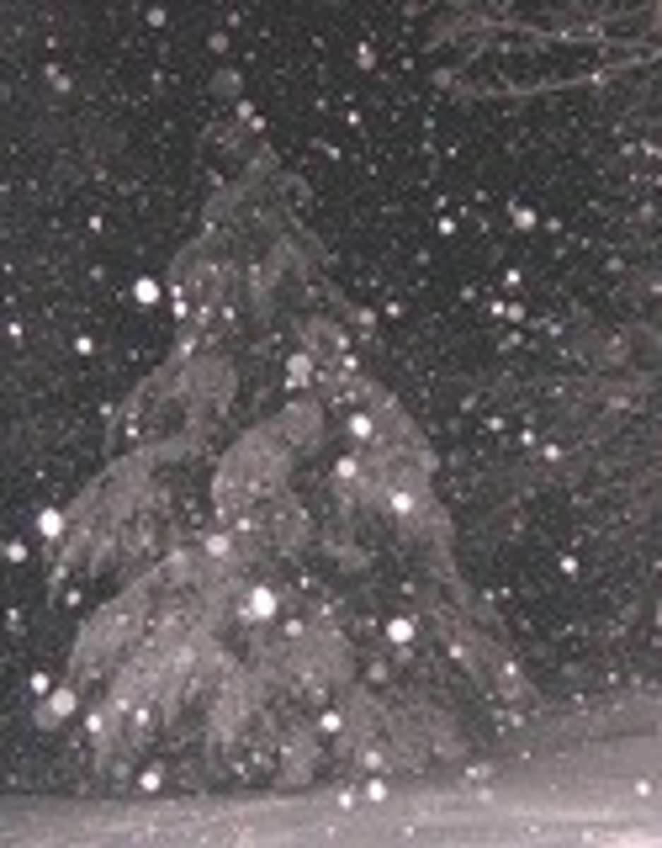 <p>a type of solid precipitation</p>