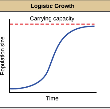 <p>What does a Logistic Growth model describe?</p>