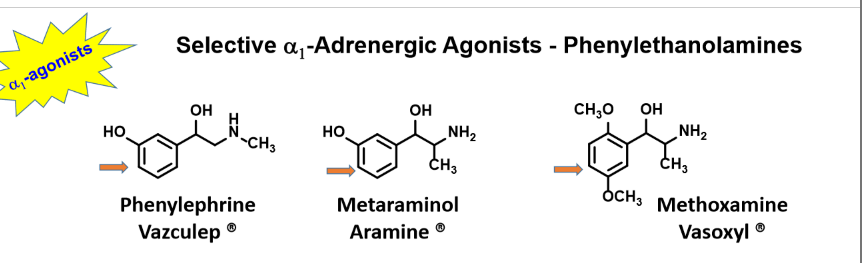 <p>Phenylephrine</p><p>Metaraminol</p><p>Methoxamine</p>