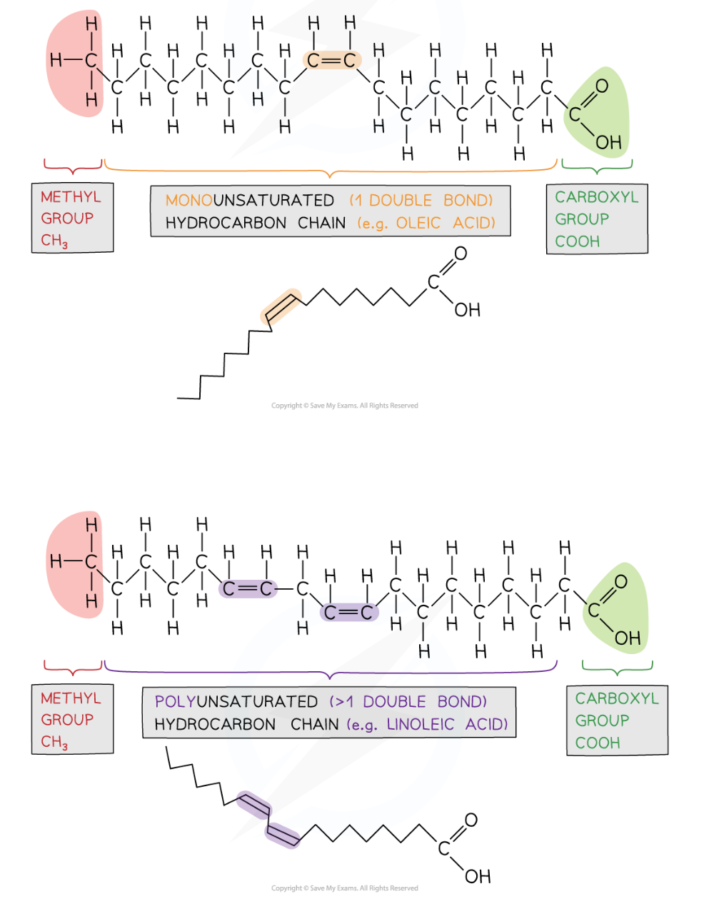 <p>monounsaturated → 1 C=C</p><p>polyunsaturated → &gt;1 C=C&nbsp;</p><p></p>