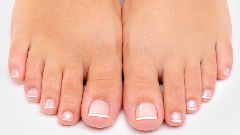 <p>toe</p>