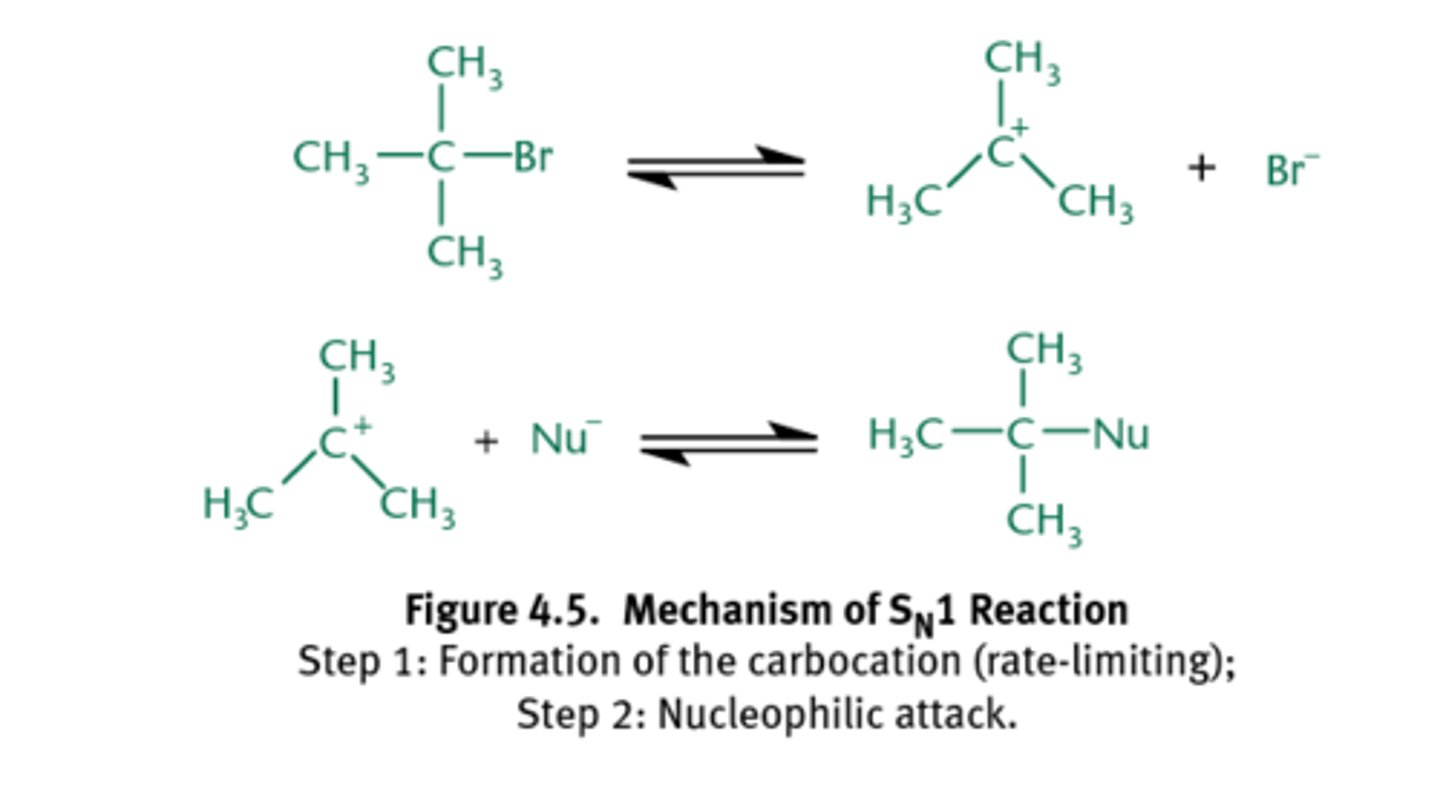 <p>Step 1: leaving group leaves and is the rate-limiting step. this generates a positively charged carbocation</p><p>Step 2: nucleophile attacks the carbocation</p><p>the more substituted the carbocation, the more stable it is because the alkyl groups act as electron donors which stabilize the positive charge, so SN1 only occurs for secondary or tertiary carbon</p><p>since first step is rate limiting step, the rate of reaction only depends on substrate: rate-k[R-L], where L is leaving group.</p><p>-anything that accelerates the formation of the carbocation will increase the rate of SN1 reaction</p><p>usually yield racemic mixture since the incoming nucleophile can attack the carbocation from either side</p>
