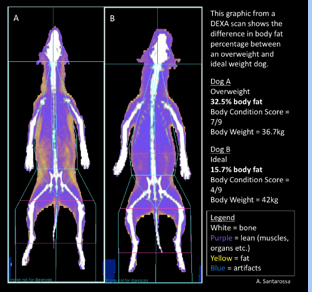 <p>The scan takes approximately .. </p>