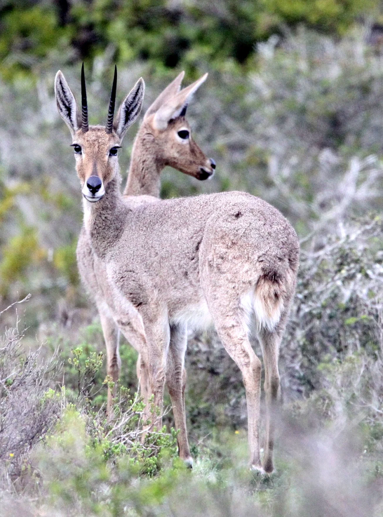 <p>Orange river, Western Cape, Cape Town, Kruger NP</p>