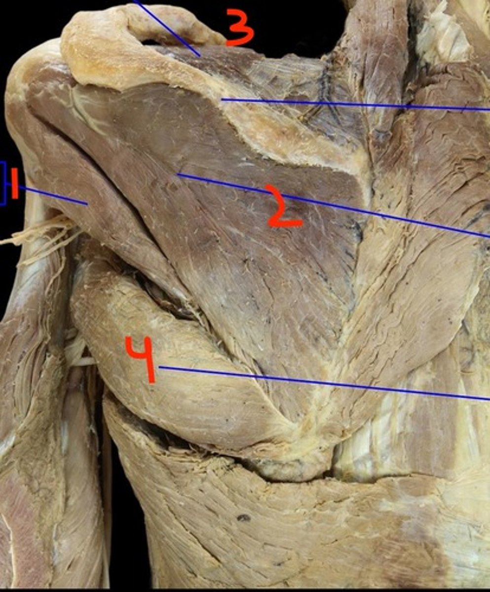<p>2</p>