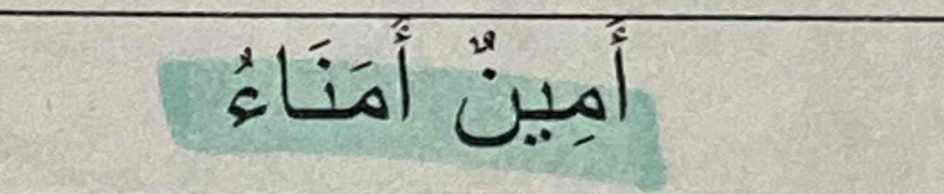 <p>Arabic</p>