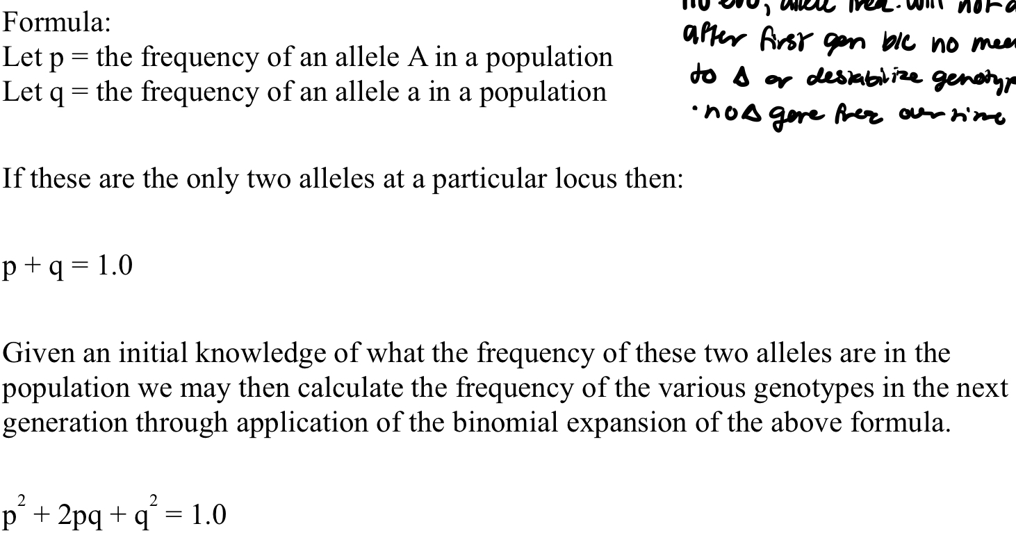 <p>note that several pops can have the same gene freq. but diff genotypic freq. </p><p>however, after one gen of random mating, if all assumptions are met, the the pop will achieve HW expected genotypic freq.</p>