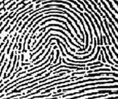 <p><span><span>A mix of different patterns. Cannot be classified as any other pattern.</span></span></p>