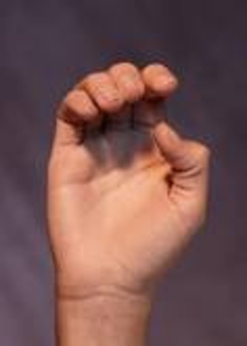 <p>All fingers partially folded. Thumb is partially folded. Hand is turn slightly to the left so viewer can see backward "C" shape formed by thumb and index finger.</p>