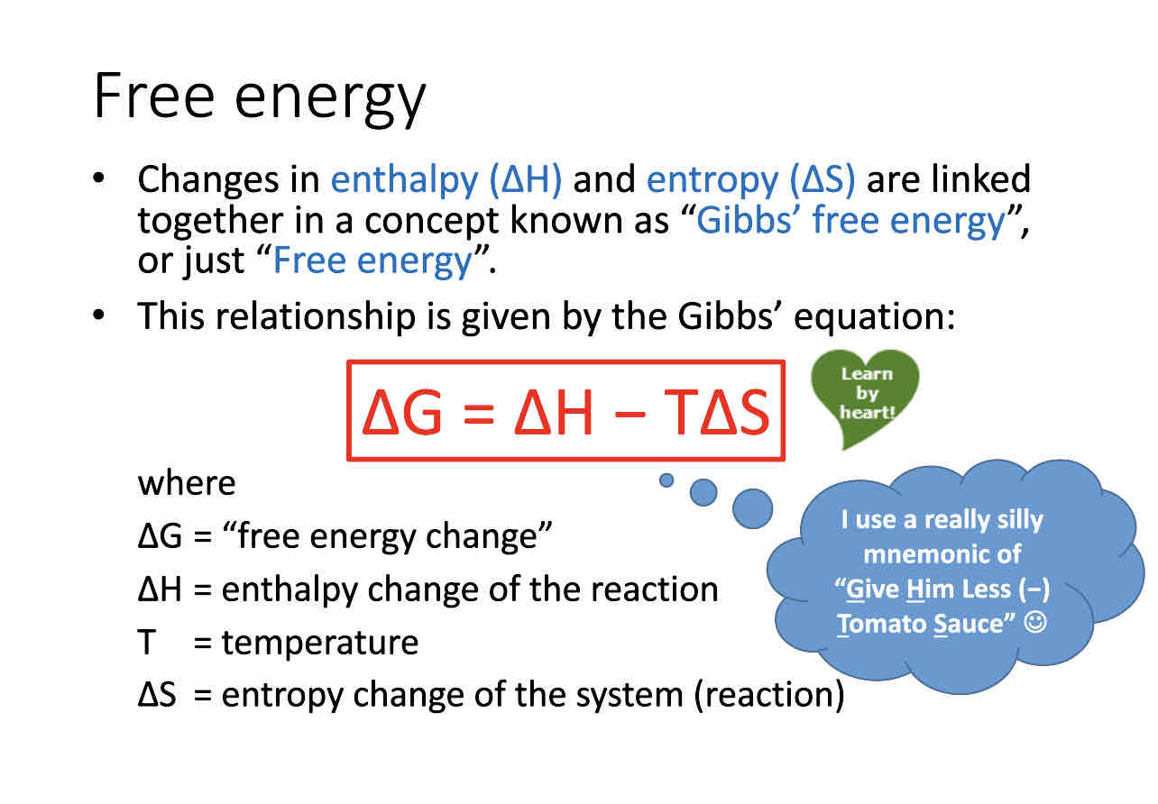 <p>Delta G = free energy change</p><p></p><p>Delta H = enthalpy of reaction</p><p>T = temperature</p><p>Delta S= entropy</p>