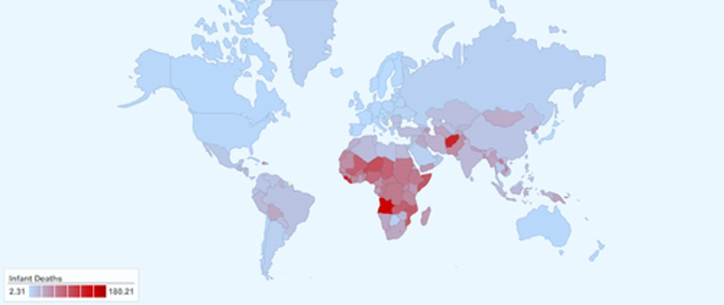 <p>number of children who die before age 5, higher in less-developed countries</p>