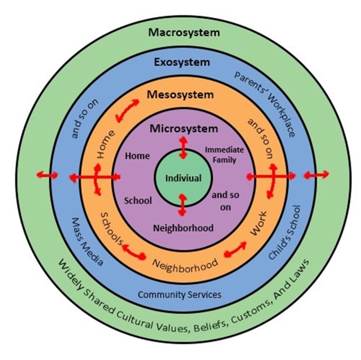 <p>in the bioecological model, the larger cultural and social context affect the individuals and others around them.</p>