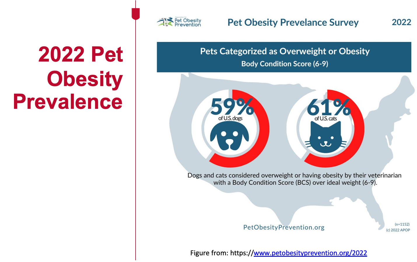 <p>59%</p><p>a 158% increase in overweight dogs! </p>