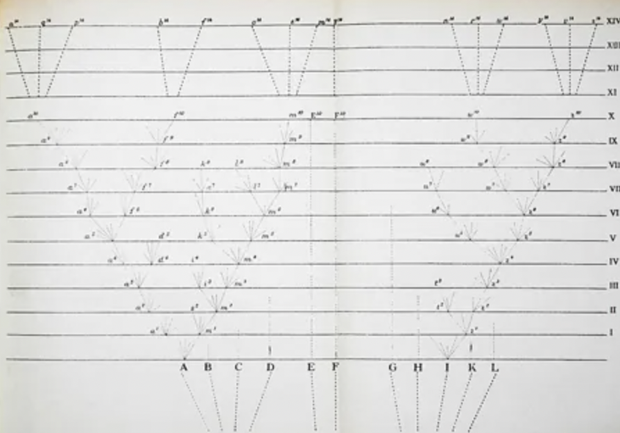 <p><span>-states that organisms that are better suited for their environment will survive and reproduce, while those that are poorly suited for their environment will die of</span></p><p><span>ex - </span><span><span>as a carrier, Luwi’s mutation is highly adaptive in her African homeland; however, if she resided in the U.S (where malaria is rare), her mutation could prove costly</span></span></p>