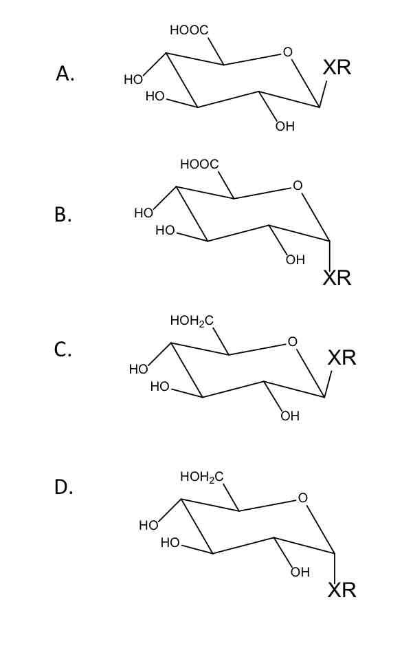 <p><strong>Which of the following correctly represents the conjugated product of glucuronidation? </strong>(Just type the letter) </p>