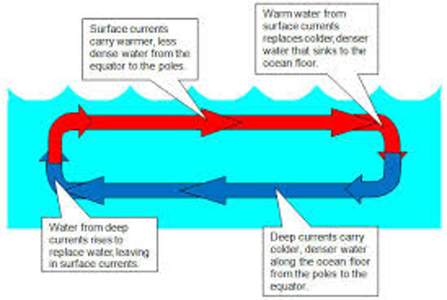 <p>Stream-like movement of water near the top of the ocean; driven by the wind.</p>