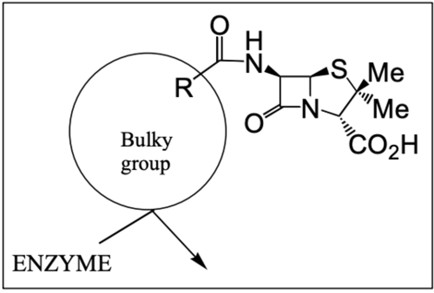 <p>- Bulky side chains are used to provide a steric shield towards β-lactamase preventing it from acting on penicillin.</p>