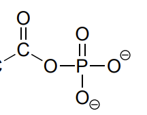 <p>C double bonded to O and single bonded to an O that is part of a phosphate group</p>
