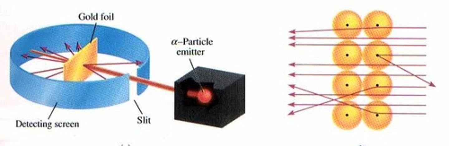 <p>He discovered the positive nucleus at the center of the atom, which contains most of the atomic mass.</p>