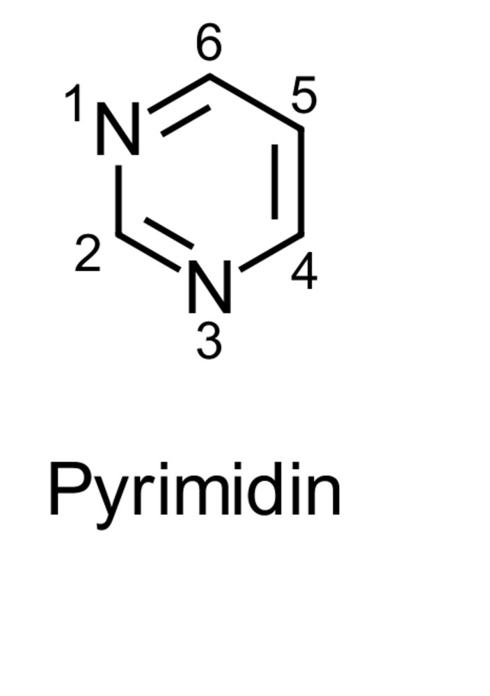 <p>B. 1 vs. 2 nitrogen atom(s) in the ring</p>