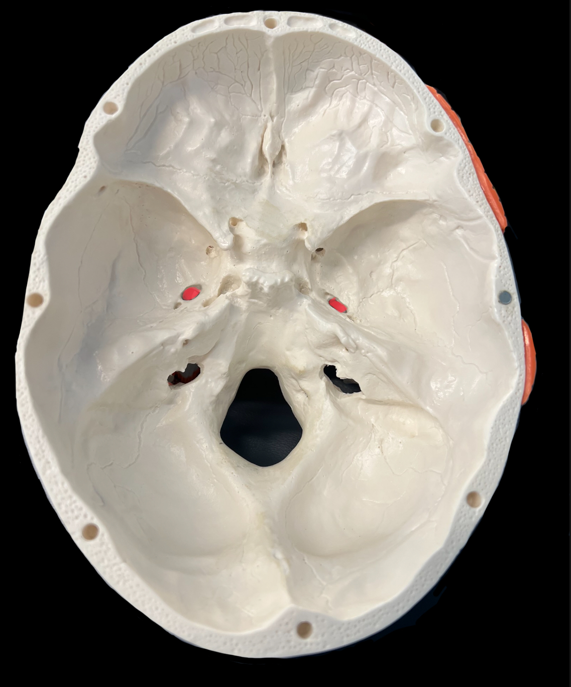 What is highlighted in red?

What goes through it?