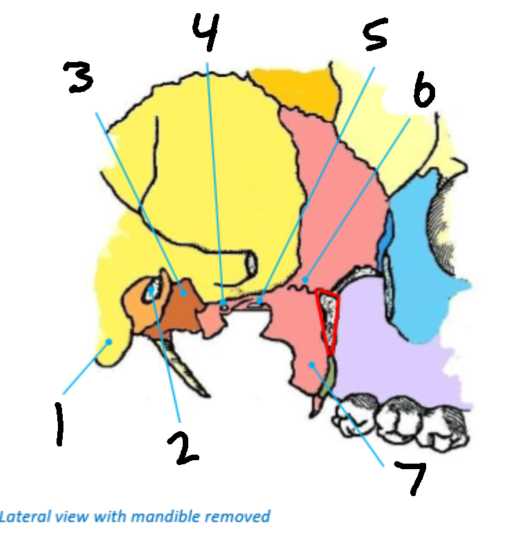 <p>What is 5?</p>